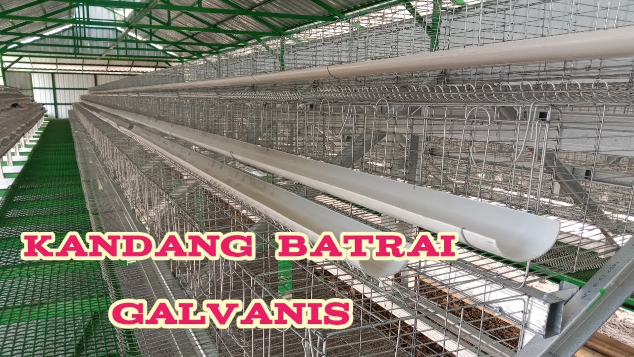 kandang batrai galvanis permanen
