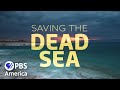 Saving the Dead Sea FULL SPECIAL | NOVA | PBS America