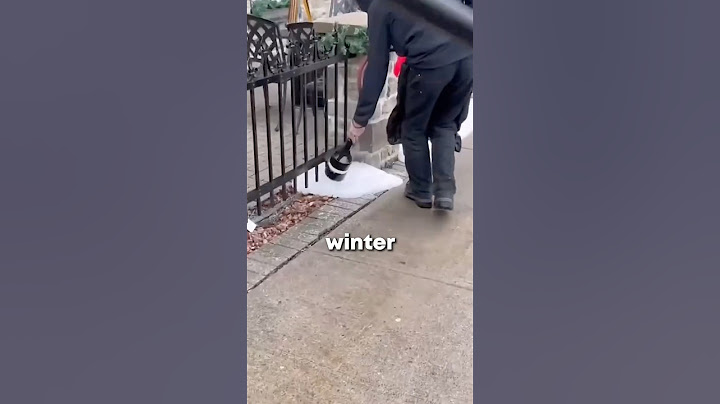 They Are Buying Fake Snow!