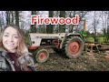 CHOPPING FIREWOOD - Timber with the David Brown 990