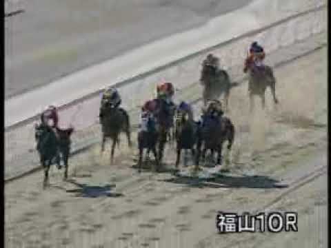 2005年度福山競馬a2競走 福山さつき賞 Youtube 2005年度福山競馬a2競走 福山さつき賞 Youtube