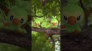Grookey Is Coming to Pokémon GO Community Day!