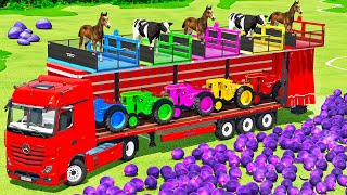 TRANSPORT BABY HORSE, BABY COWS & PLUMS WITH MERCEDES & DEUTZ MINI TRACTORS  FS22