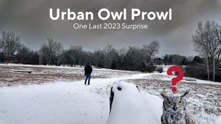 Colorado Urban Owl Prowl | One Last Surprise of 2023!