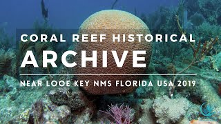 Coral Reefs in USA: Looe Key National Marine Sanctuary 2019 Florida Historic Archive #coralreef