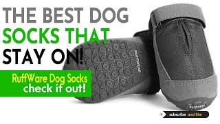 What Are The Best Dog Socks That Stay On | Shoes For Dogs Paws | Dog Booties Content