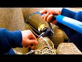 穴釣り遠征で見た事ない魚が出現