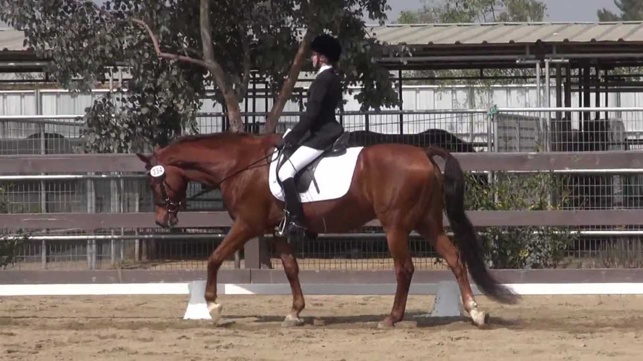Dressage Seat Equitation March 2013 PGF Dressage Schooling Show YouTube