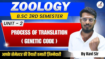 Process of Translation | B.Sc Zoology 3rd Semester | Genetic Code | Unit -2 | Paper | Zoology