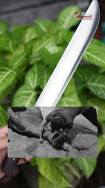 Tulungagung Knife L6 Full HT 24cm, super sharp #survival #chef #wood #meat