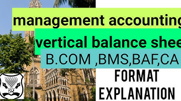 vertical balance sheet , format explanation,t.y.b.com  mgt.group,s.y.b.com,baf,BMS.