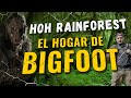 07.- Hoh Rainforest - El hogar de Bigfoot [NATURALEZA DE NORTEAMÉRICA]