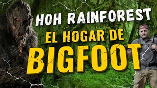 07.- Hoh Rainforest - El hogar de Bigfoot [NATURALEZA DE NORTEAMÉRICA]