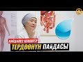 ТЕРДӨӨНҮН ПАЙДАСЫ, ЗАҢ, ЗААРА БОЮНЧА. ВРАЧ-ТЕРАПЕВТ ГҮЛСАНА БАПАЕВА