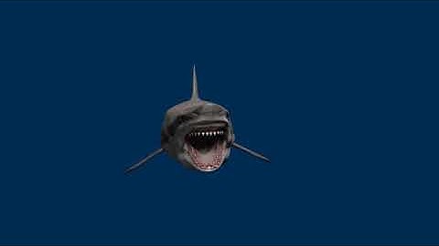 Blender Shark Animation