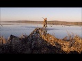Duck Hunting in Australia 2017 (VIC)