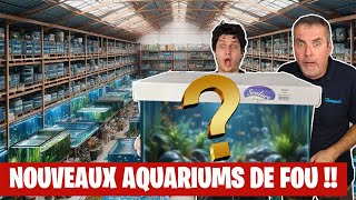 Nos nouveaux aquariums (En plus ils sont vraiment pas chers) - Floraquatic