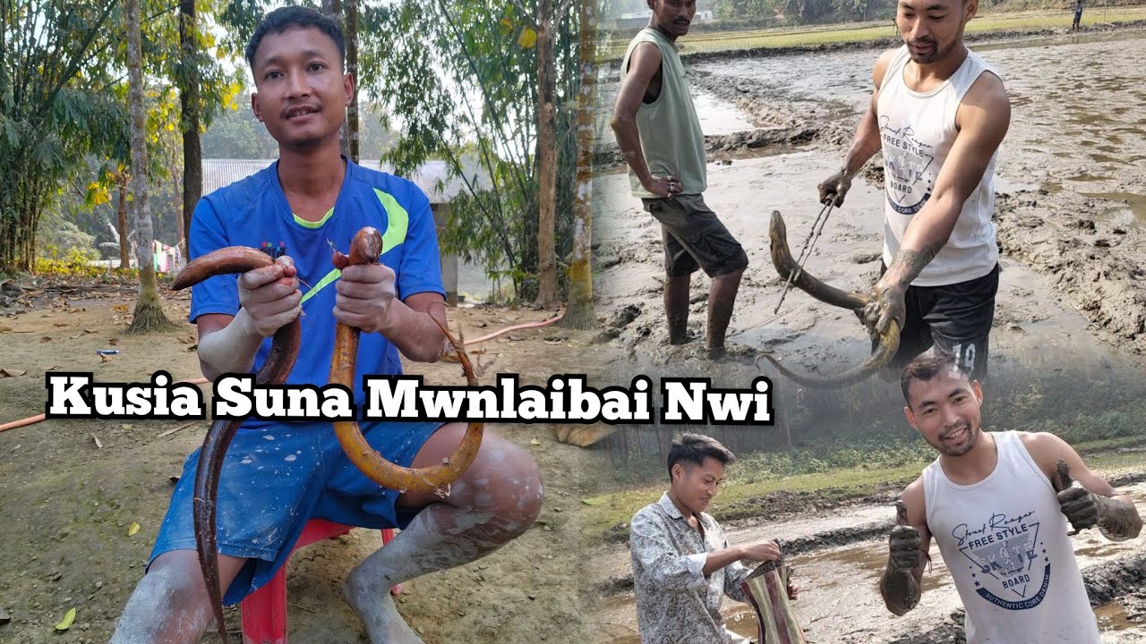 Kusia Suna Mwnlaibai Nwi || Kusialo Jagwn Be Bwtwrao Jwng || 
