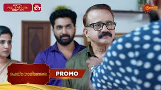 Download Lagu Peythozhiyathe- Promo | 11 Feb 2026 | Malayalam Serial | Surya TV MP3