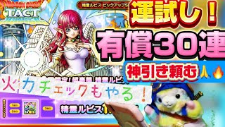 【ドラクエタクト】精霊ルビスガチャ‼️30連で２凸以上なら追いかけ…ま…