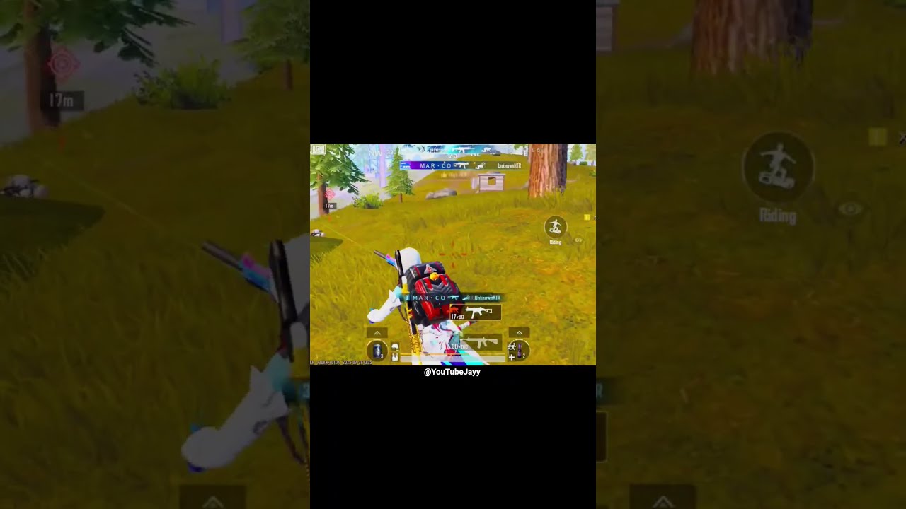 20 Kills In Livik 