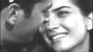 TOŠE PROESKI - NESANICA SPOT