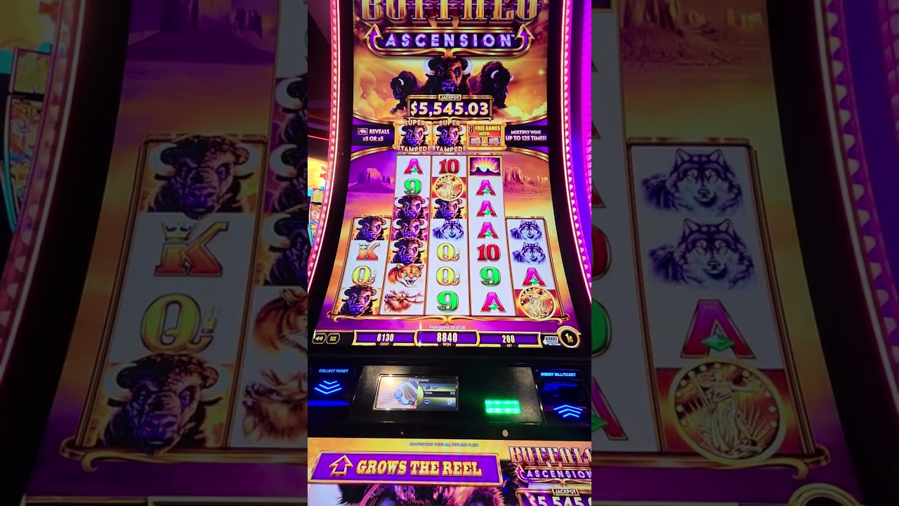 BUFFALO ASCENSION BONUS HIT | Bdgame21slots