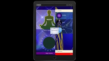 Genius Insight - New Offline Version & Functional Zones