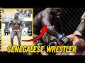 This senegalese wrestler is terrifying  reug reugs craziest moments