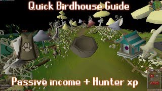 2018/2019 Complete Quick Birdhouse Guide
