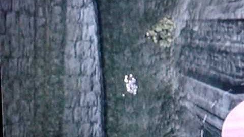 A cool glitch on shadow of the colossus.