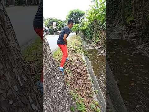 Tempat Kencing ternyaman di dunia #shorts #youtubeshorts