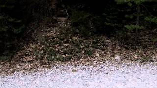 Annot la piste d'argenton en vtt