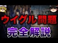 【ゆっくり解説】ウイグルの闇を語るぜ...