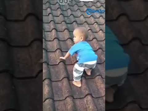Labubu Ketiban Apel #cute #funny #baby #labubu #viral #shortvideo #shorts #ai #games #gaming #game