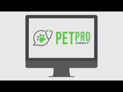 Setting Up the Loyalty Feature on the PetPro Connect Vet Portal