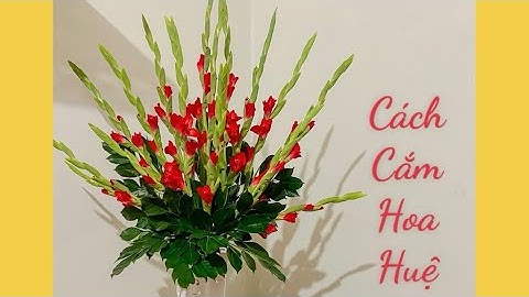 Hướng dẫn cắm hoa huệ đỏ năm 2024