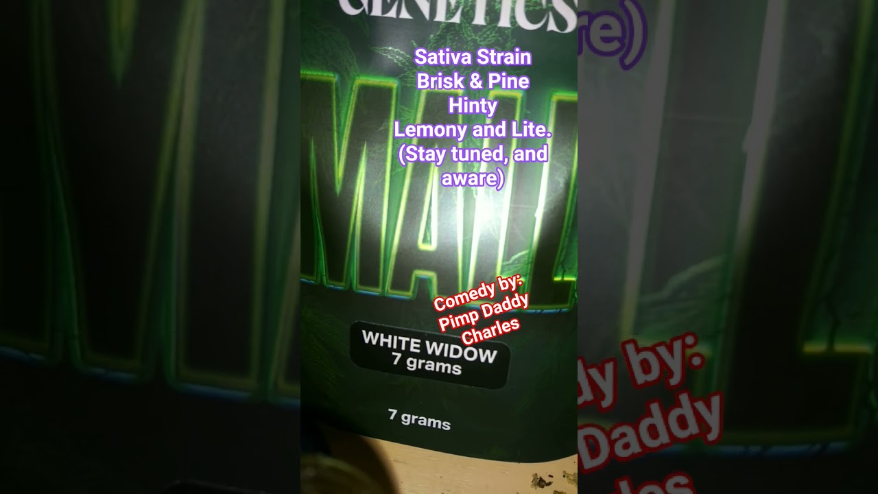 CBD/THCa White Widow Sativa Review | Dopest Genetics SMALLS