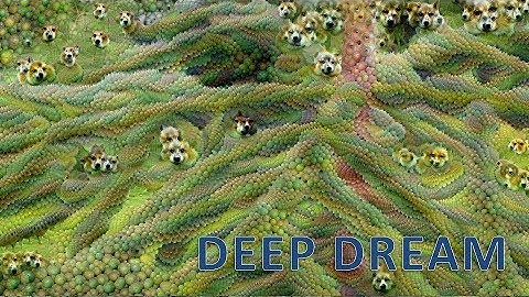 Deep Dream of Google Inception Network