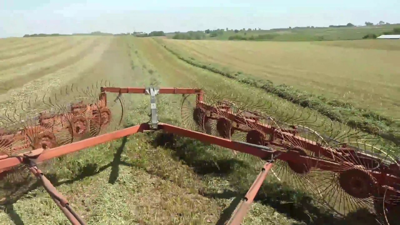 Raking hay - YouTube