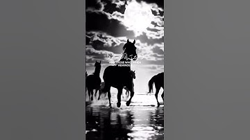 تلاوة جميلة بصوت #محمد_اللحيدان #اكسبلور #راحة_نفسية #المصحف #duet