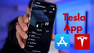 Athlete Statistics Tesla Monitoring App: How It Works and What to Expect