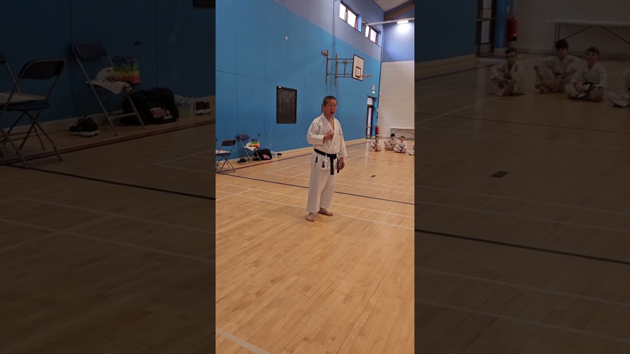 Kagawa Shihan teaching about how to increase your technical aspect.