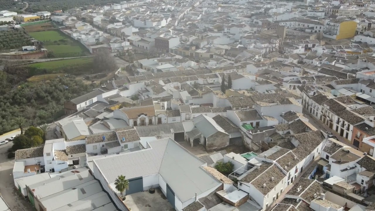 ARJONILLA JAEN 2022 DRON