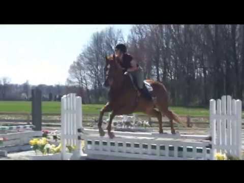 David Beisel Horse Show