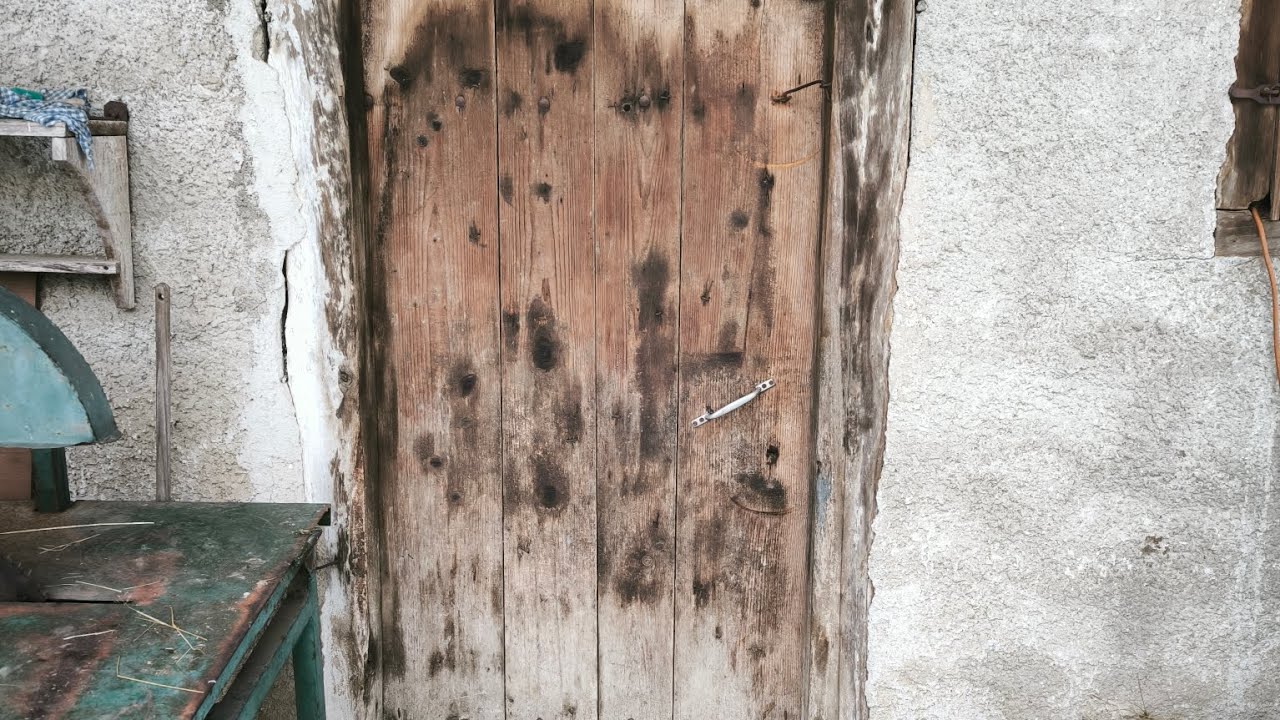 NISKE TEMPERATURE I BURSKE BEBE