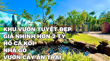 Khu vườn tuyệt đẹp ở BRVT có hồ cá koi , nhà gỗ , vườn cây ăn trái giá chỉ hơn 2 tỷ