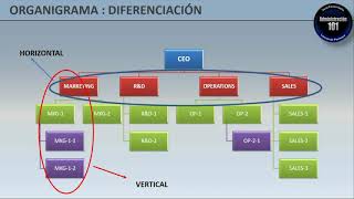 What Is an Organizational Chart: Types-Advantages-Disadvantages