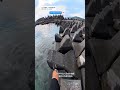 Embark on the Thrilling First-Person Journey of a Parkour Athlete