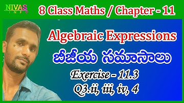 Algebraic Expressions | Exercise - 11.3 / Part - 2 | 8th Class Maths | Chapter - 11 | Nivas Info